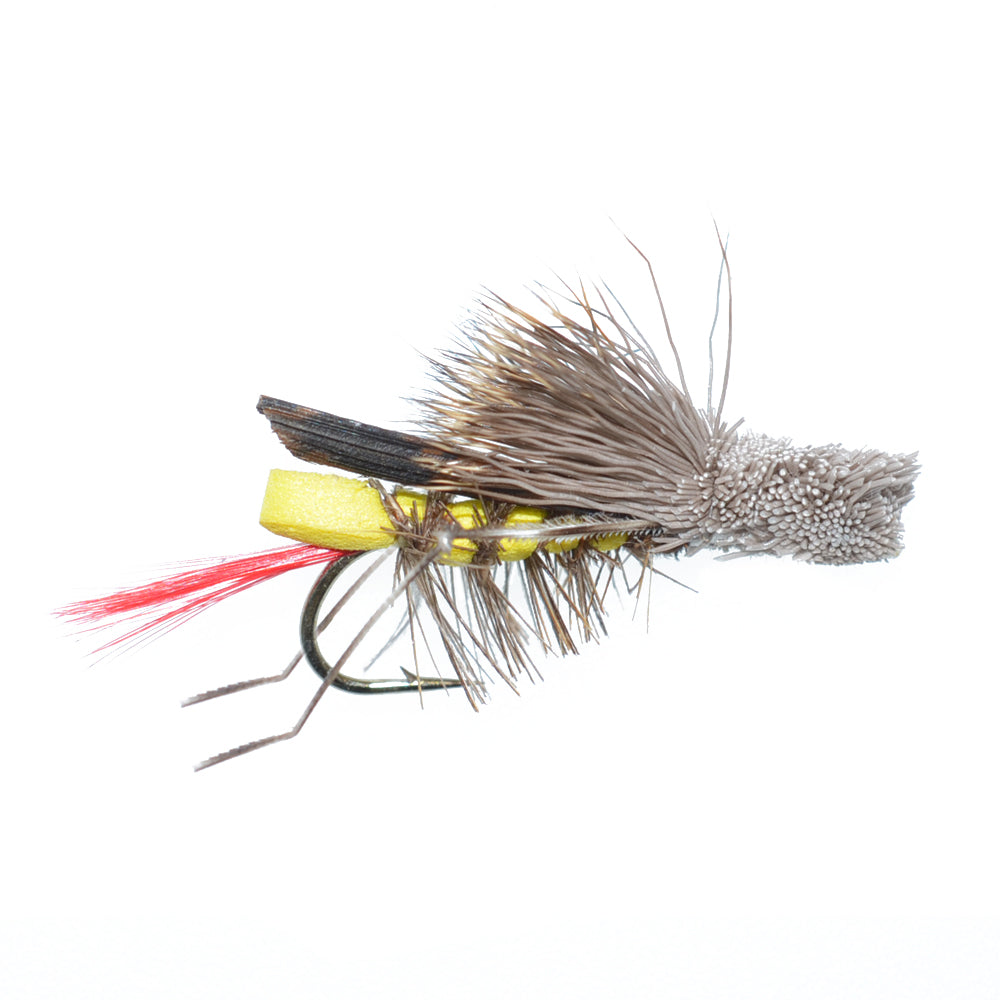 Trout Fly Assortment - Essential Western Dry and Nymph Fly Fishing Flies Collection - 1 Dozen Trout Flies with Fly Box