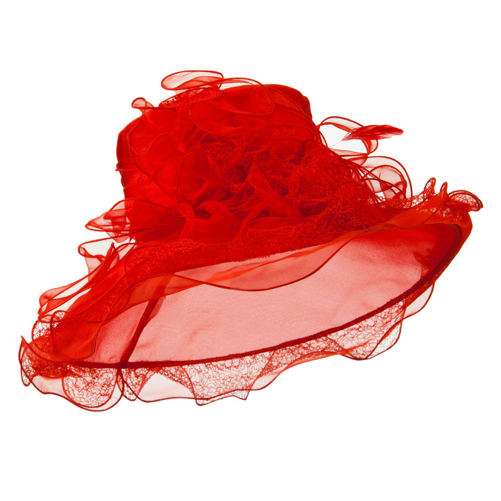 Feather and Lace Accent Organza Hat