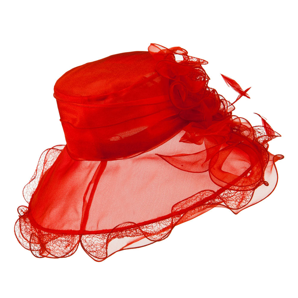 Feather and Lace Accent Organza Hat