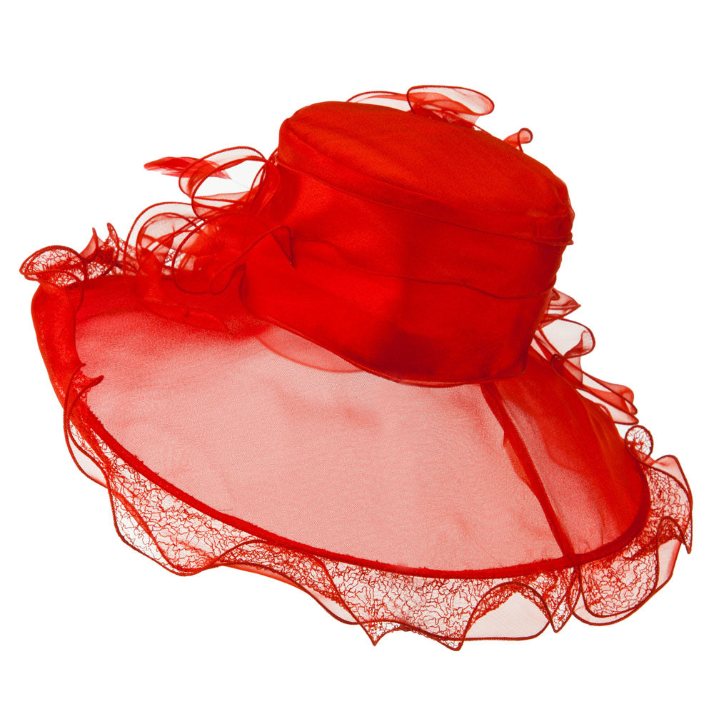 Feather and Lace Accent Organza Hat