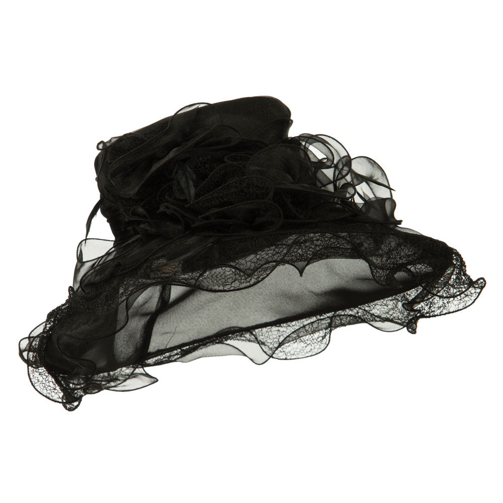 Feather and Lace Accent Organza Hat