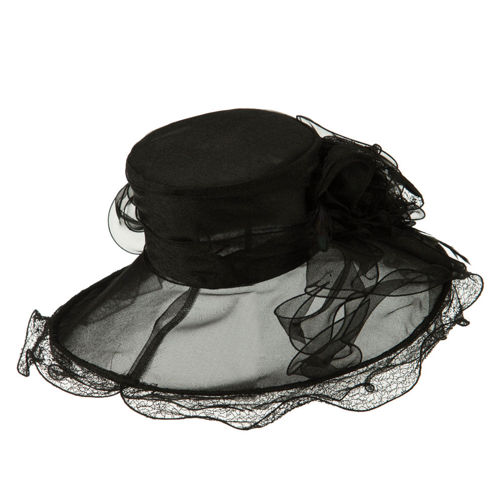 Feather and Lace Accent Organza Hat