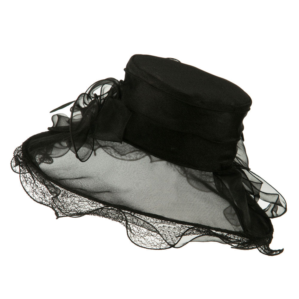 Feather and Lace Accent Organza Hat