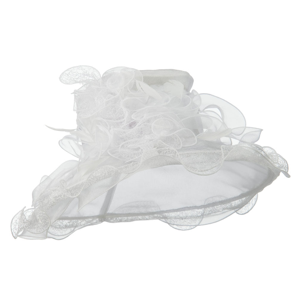 Feather and Lace Accent Organza Hat