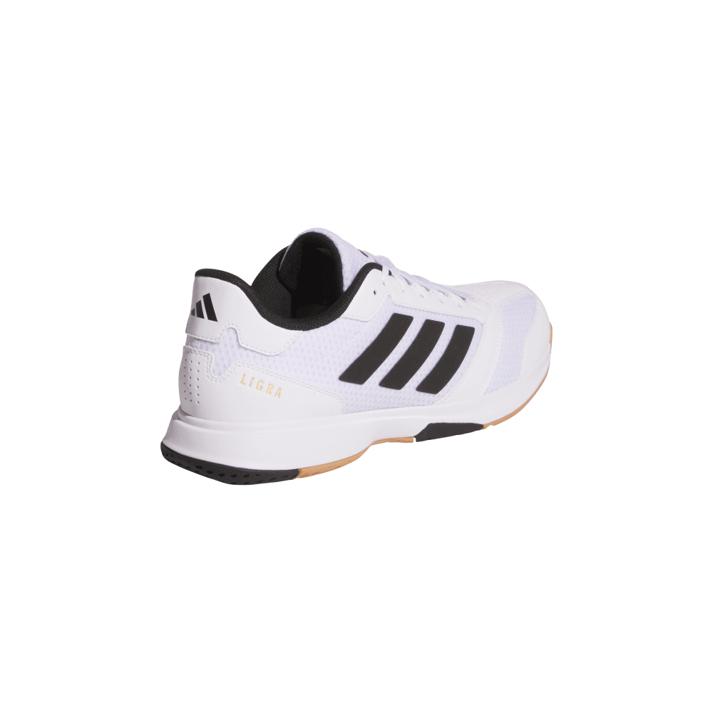 adidas Men's Ligra 8 Volleyball Shoe