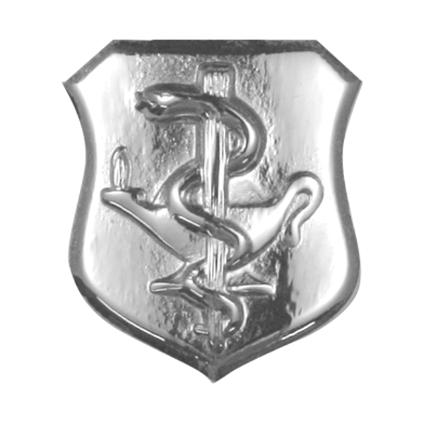 Air Force Badge - Nurse