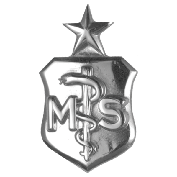 Air Force Badge - Medical Service MS