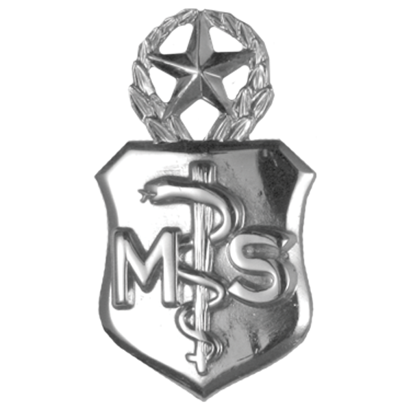 Air Force Badge - Medical Service MS