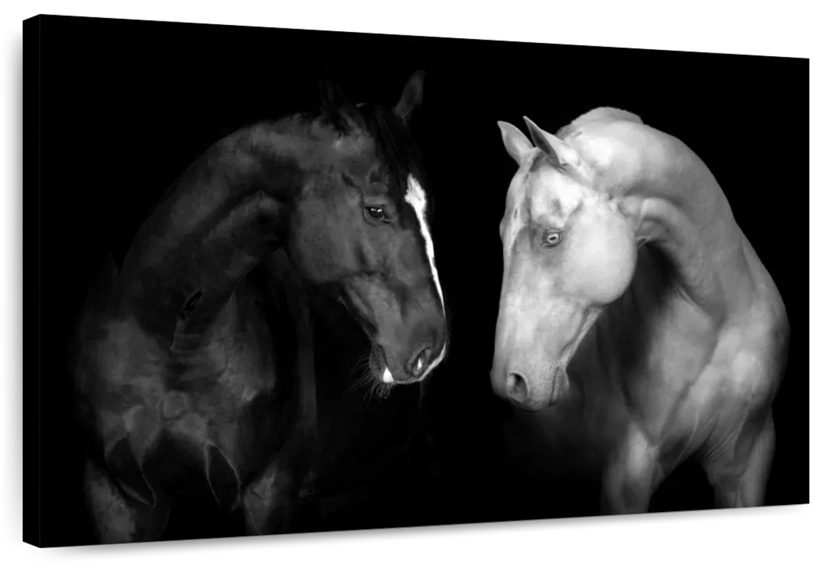 Monochromatic Horses Wall Art