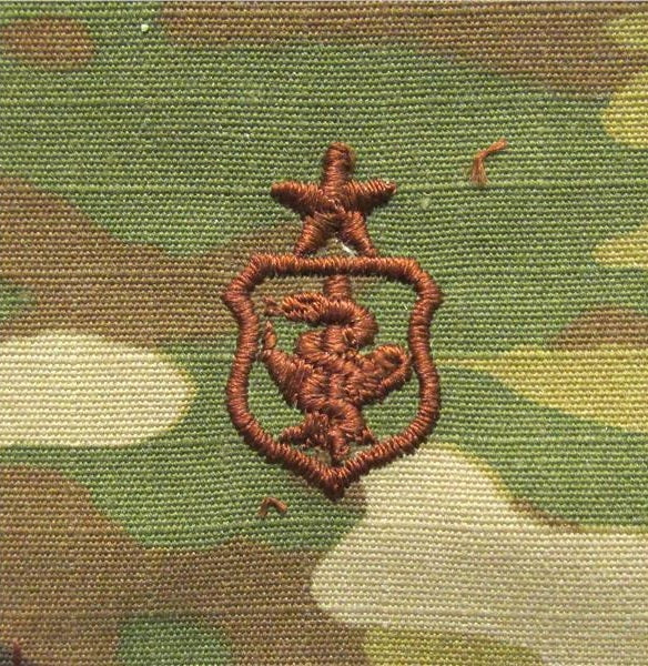 Nurse Air Force Qualification OCP Sew-On Badge - SPICE BROWN