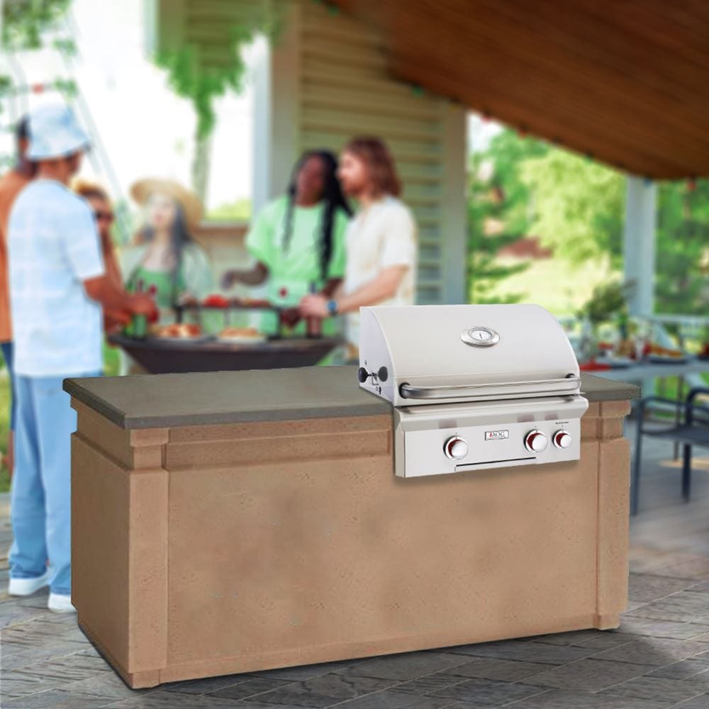American Outdoor Grill T-Series 24-Inch Built-In Gas Grill with Backburner and Rotisserie