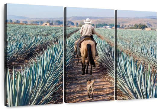 Inspecting Agave Plantation Wall Art