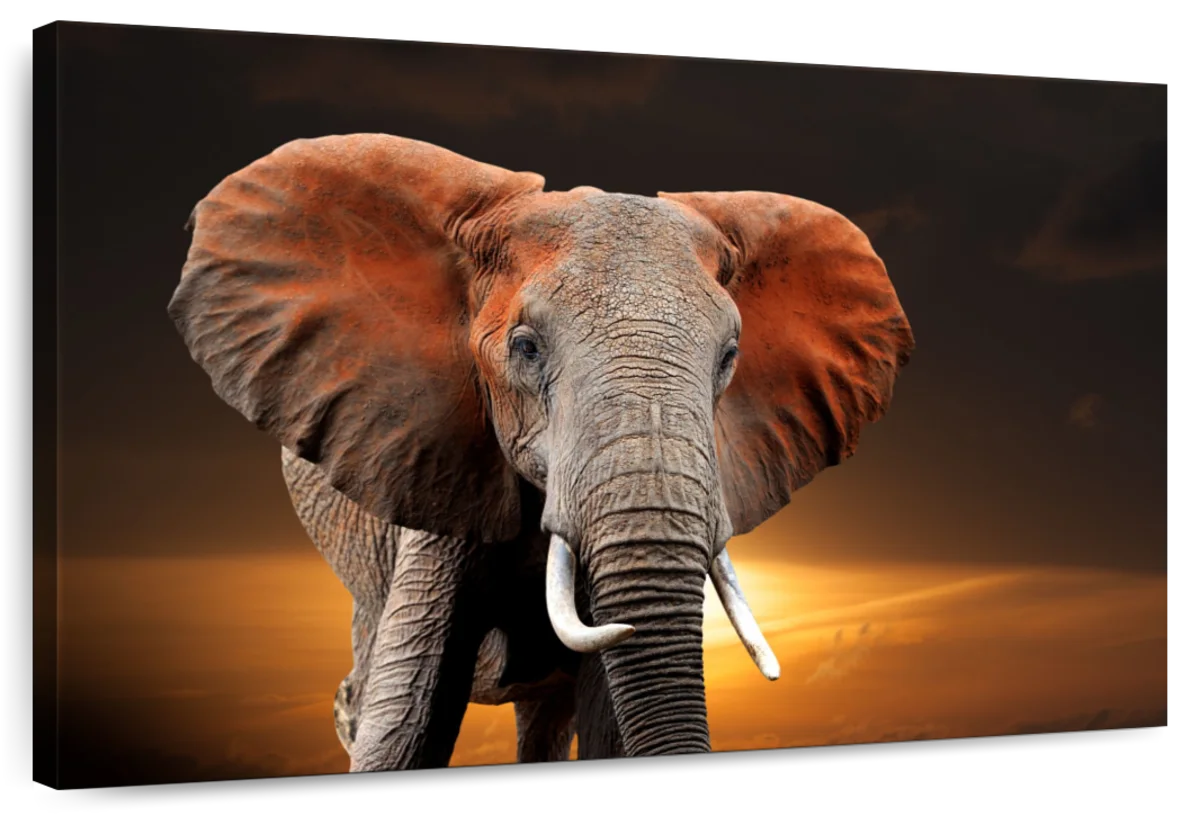 Kenyan Elephant Wall Art