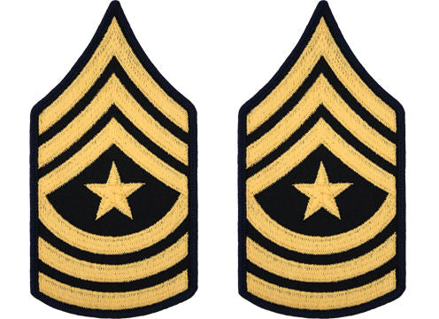 U.S. Army Gold on Blue Chevrons - Pair - All Enlisted Ranks