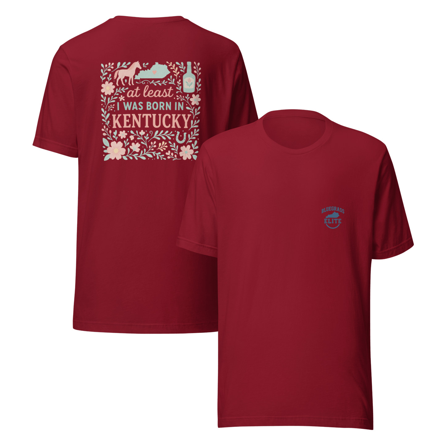 At Least I Was Born in Kentucky T-Shirt | Bluegrass Pride | Elite Tri-Blend