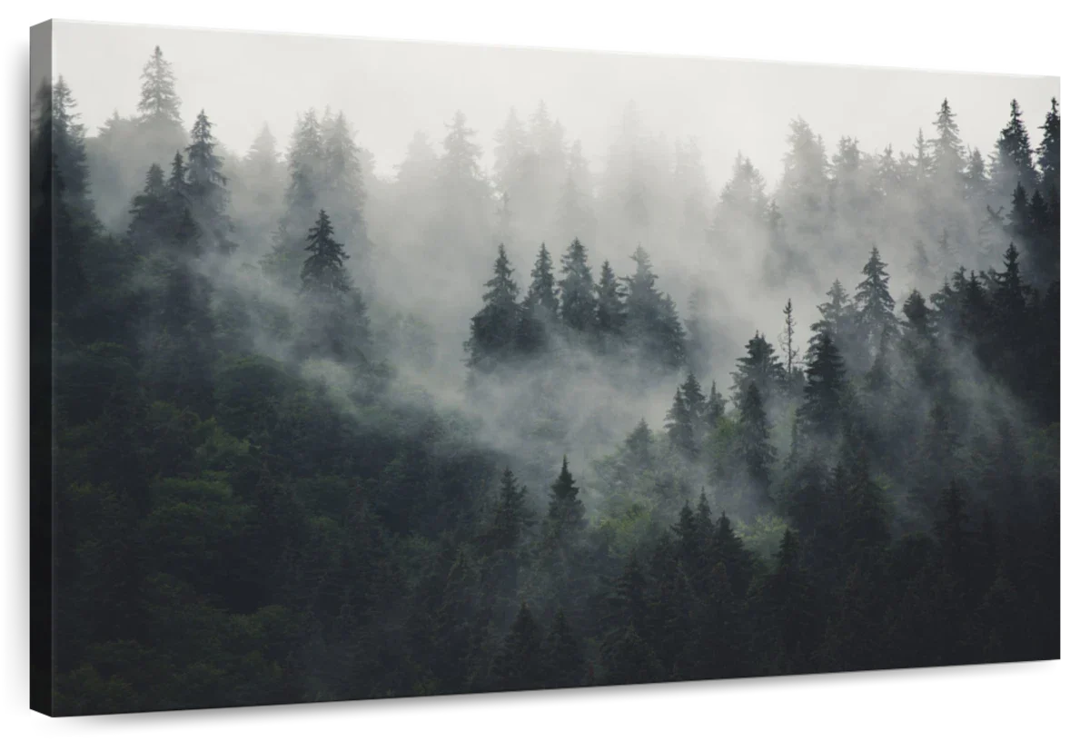 Misty Forest Mountain Wall Art