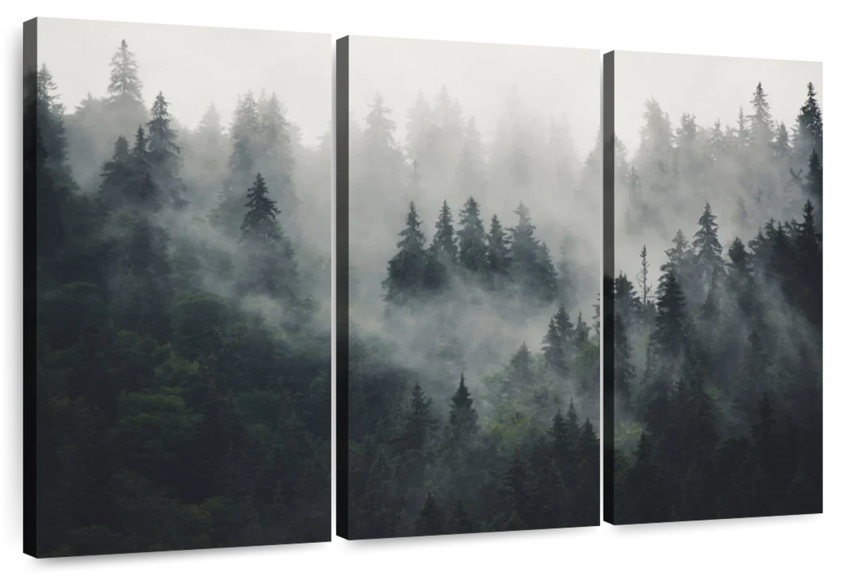 Misty Forest Mountain Wall Art