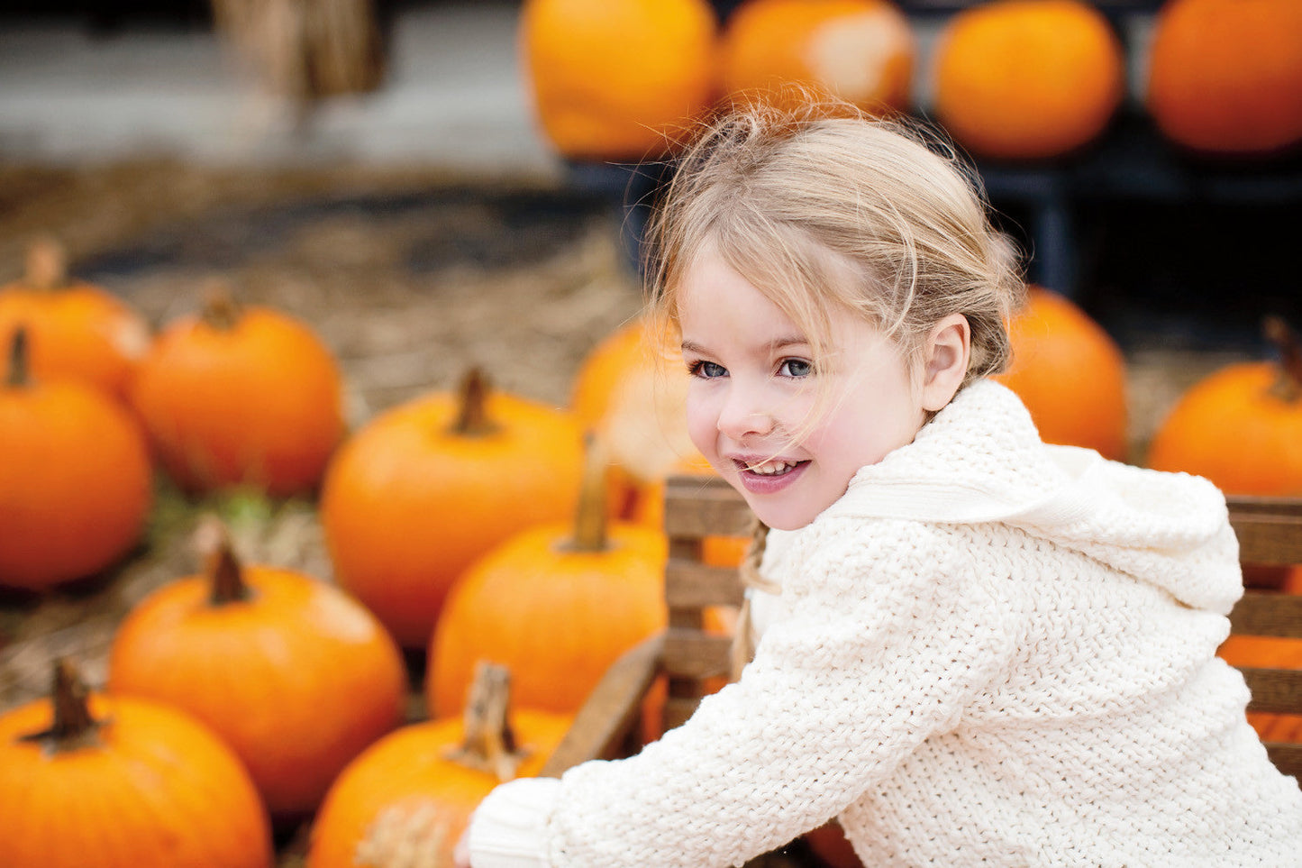 Capture Greater Lehigh Valley: The Best of the Lehigh Valley in Photography