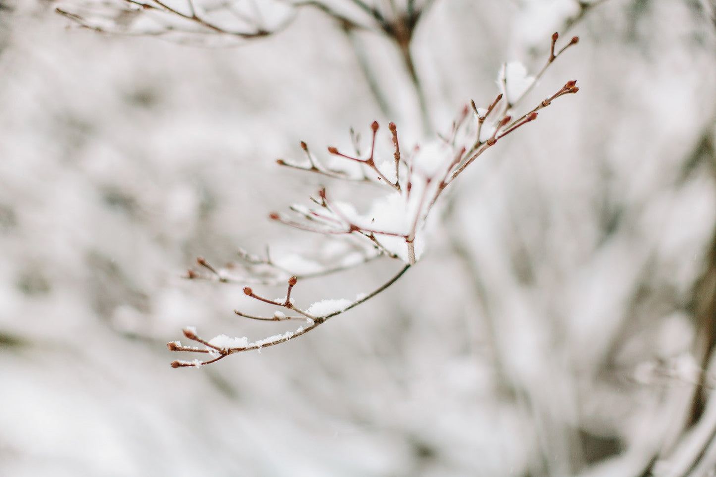 Capture Greater Lehigh Valley: The Best of the Lehigh Valley in Photography