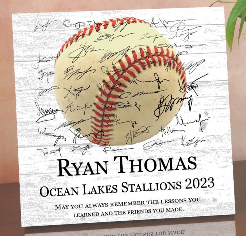 Baseball Plaque Recognition Award Signable Personalized Senior Season End Gift or MVP