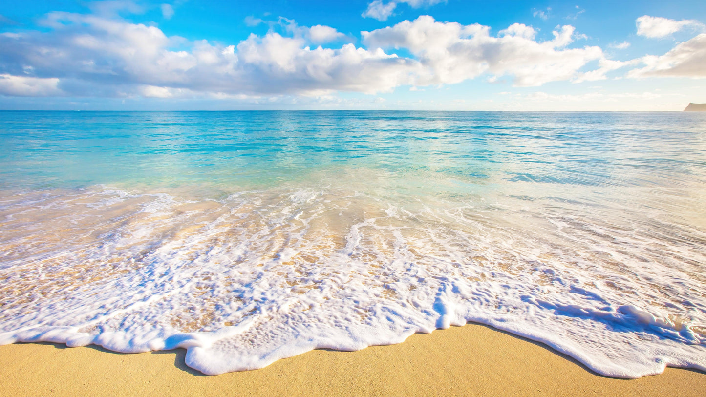 Ocean Beach Shore Wallpaper Mural. Tropical Theme Wall Decor. #6770