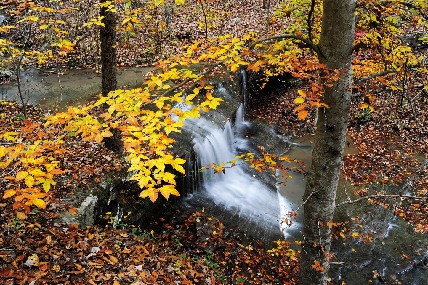 Connecting with Nature: Portraits and Essays on Nature and Man