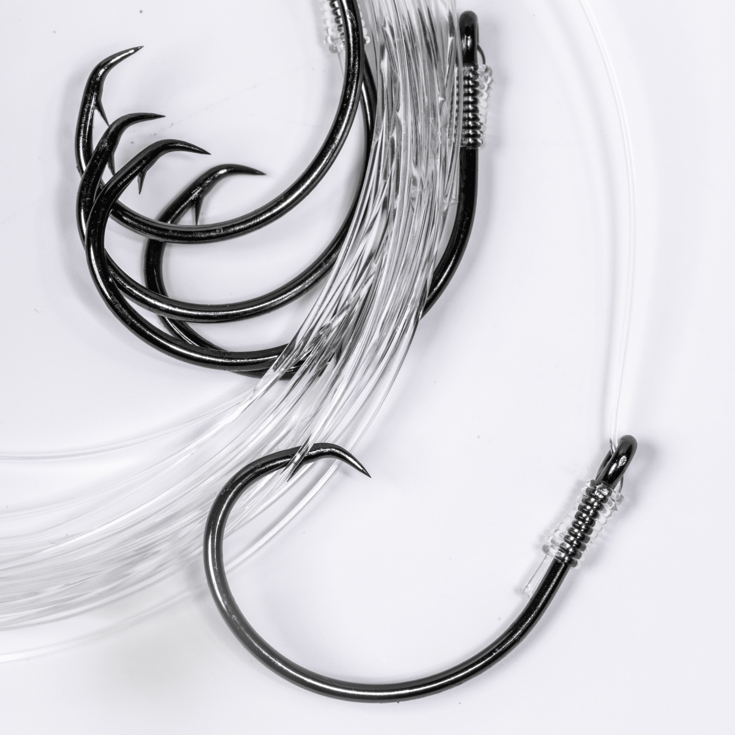BlacktipH Small Live Bait Rigs (5 Pack) | 30lb Fluorocarbon & 5/0 Circle Hooks