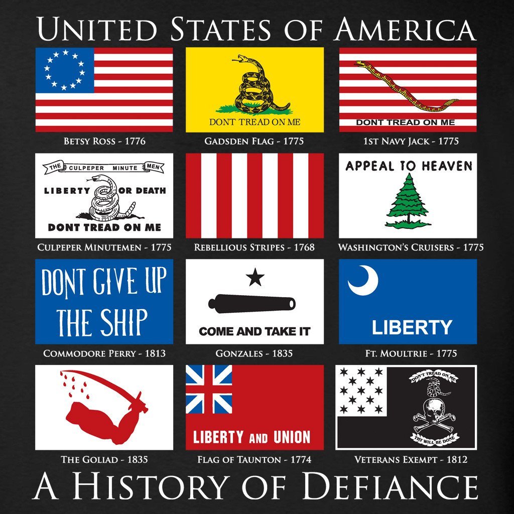Flags of Defiance - Longsleeve T-Shirts