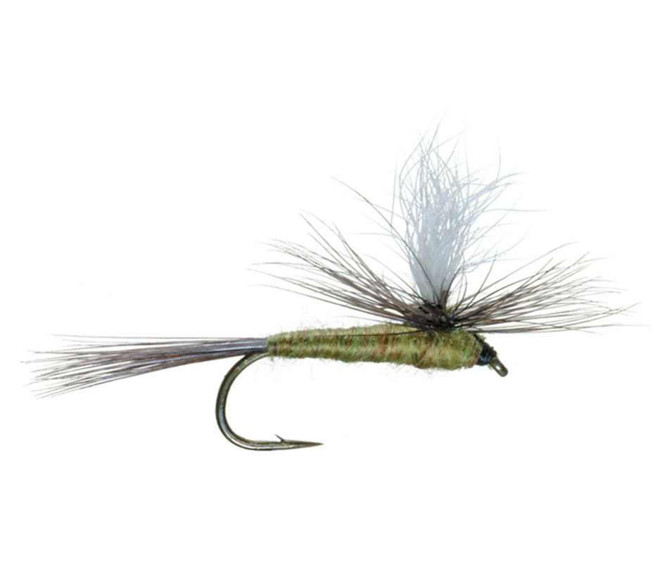 Blue Wing Olive BWO Parachute Dry Fly - 6 Flies Size 18