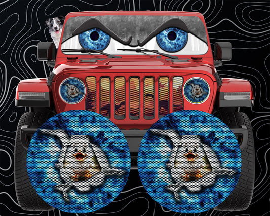 Duck eye round headlight decals