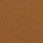 Wallet / Business Card Holder