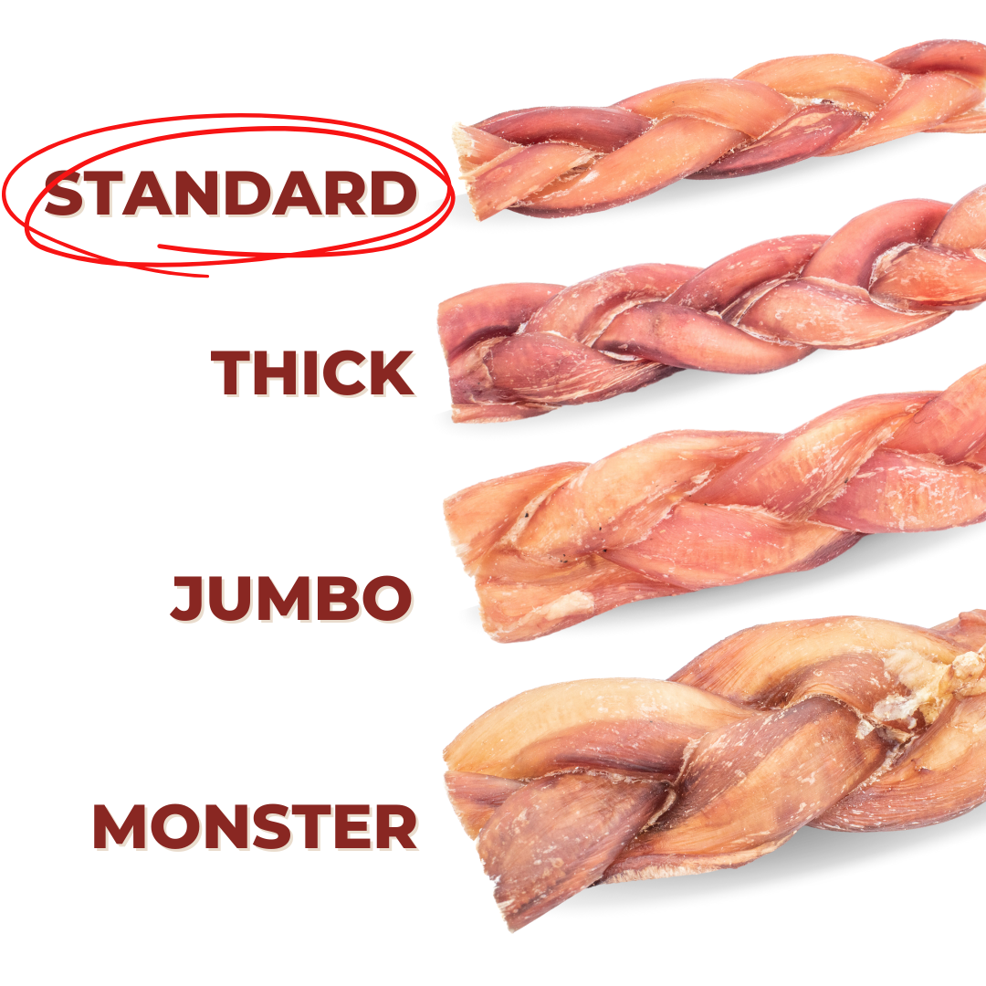 12 Inch Standard Braided Bully Stick