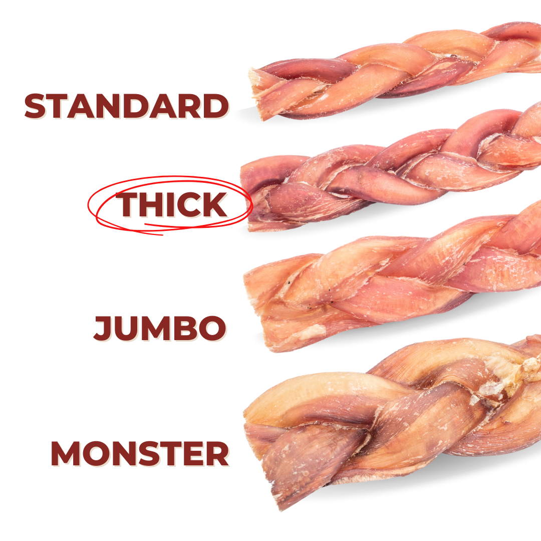 6 Inch Thick Braided Bully Stick