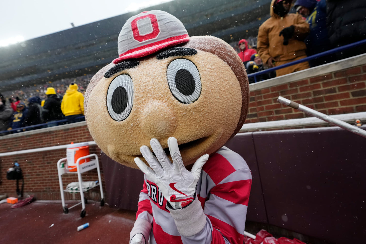 Being Brutus: Inside the Head of Ohio State's Iconic Mascot - PREORDER ships 11/27/2026