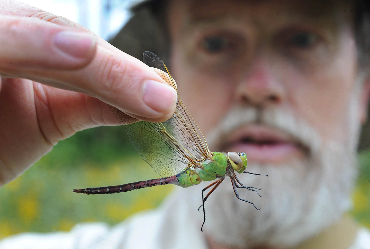 Reflections of: Presque Isle: A Visual Journey