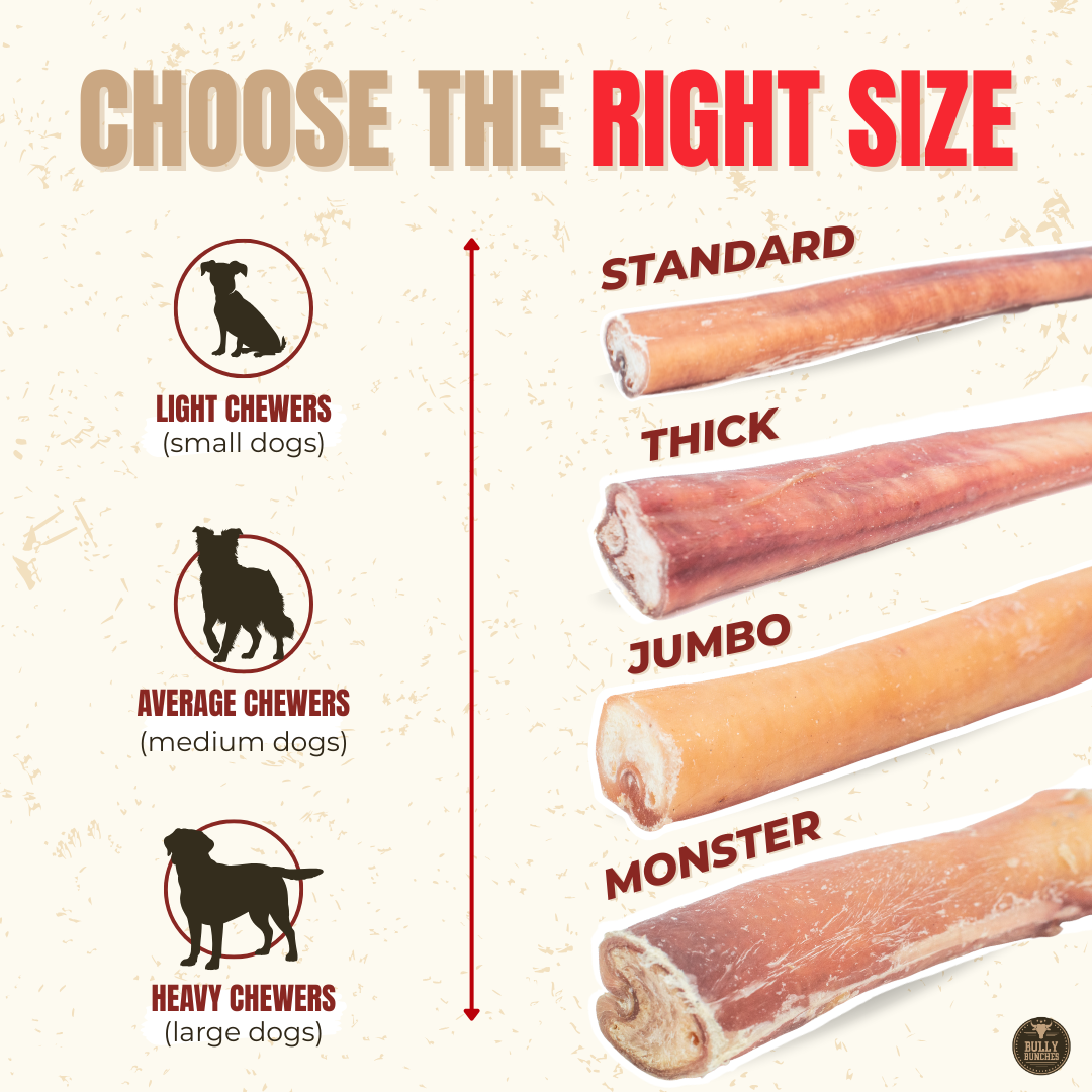 12 Inch Thick Bully Stick