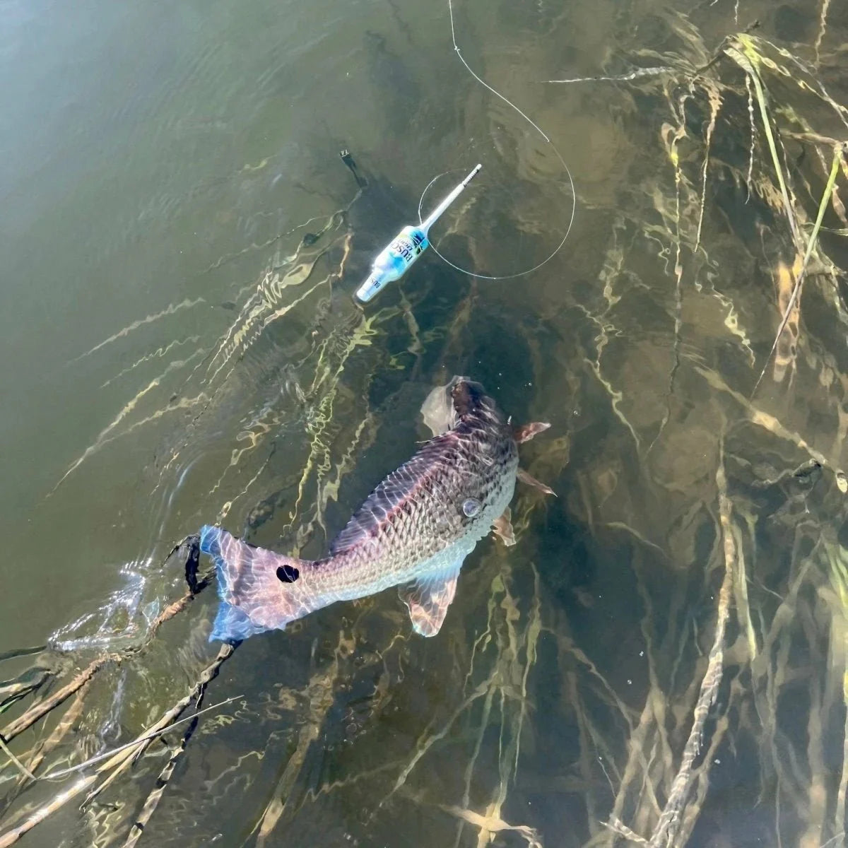 Busch Light Fishing Bobbers (2 Pack) – Fully Functional Beer Bottle Lures – Funny Fishing Gift for Men