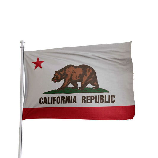 California State Flag 4x6 - Durable Nylon American Made