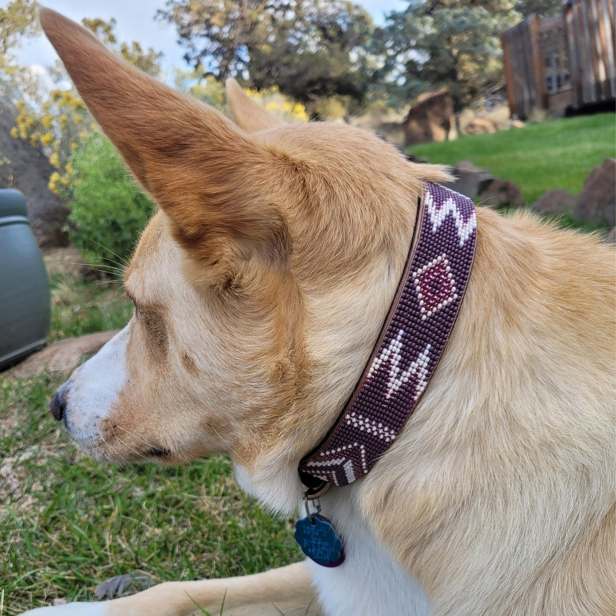 Charlotte Sambboho dog collar (made to order)