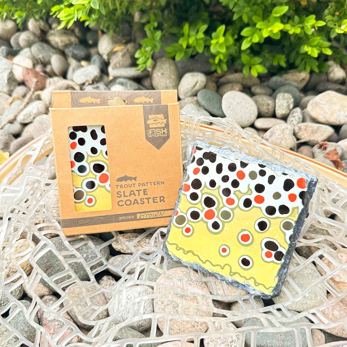 Trout Pattern Slate Coaster Singles