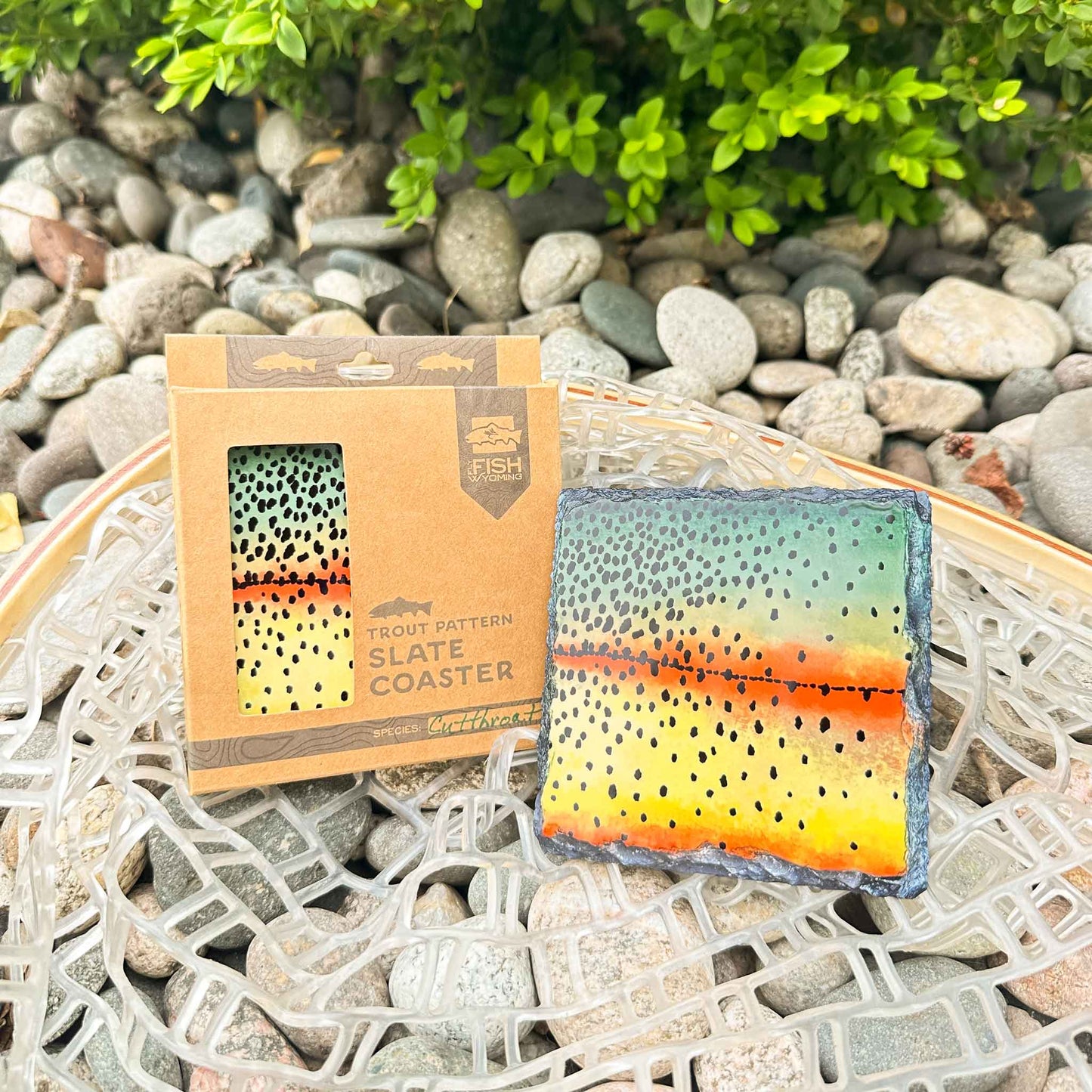 Trout Pattern Slate Coaster Singles
