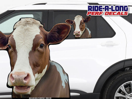 Moo Cow *RIDE A LONG* Perforated Decal