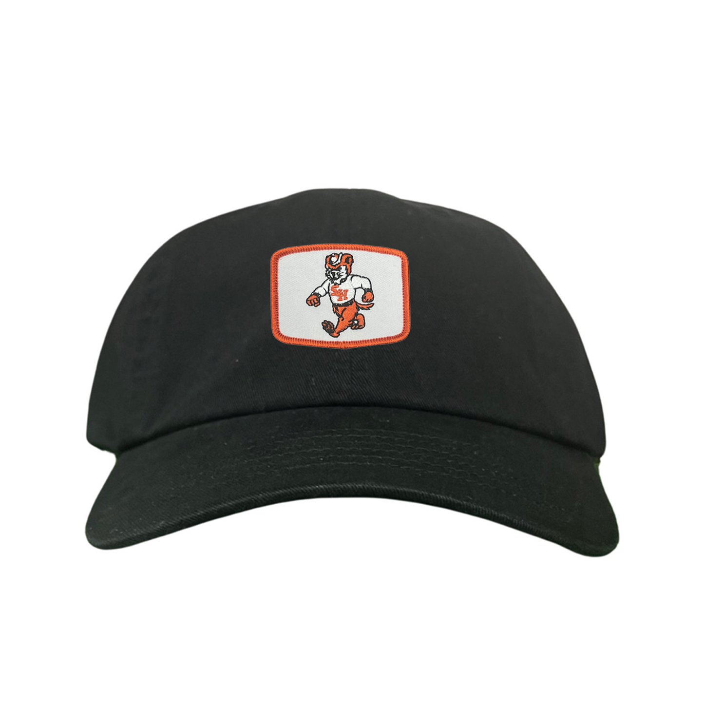 Sam Houston  Walking Sammy Bearkat / Limited Edition Silver Hat / 162 / Mesh Snap Back / SHSU010