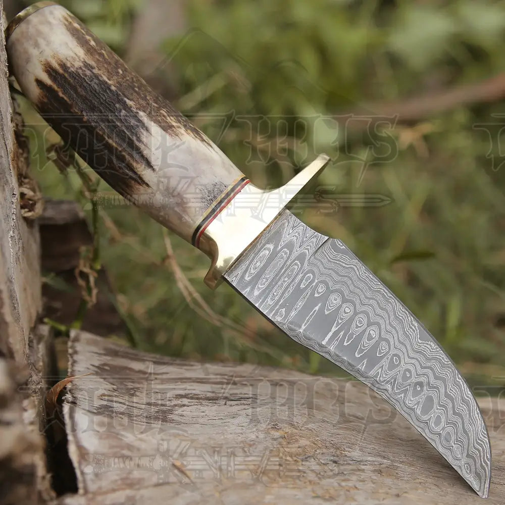 Custom HANDMADE FORGED DAMASCUS Steel Hunting Knife W/ Stag & Brass Guard Handle WH 4399