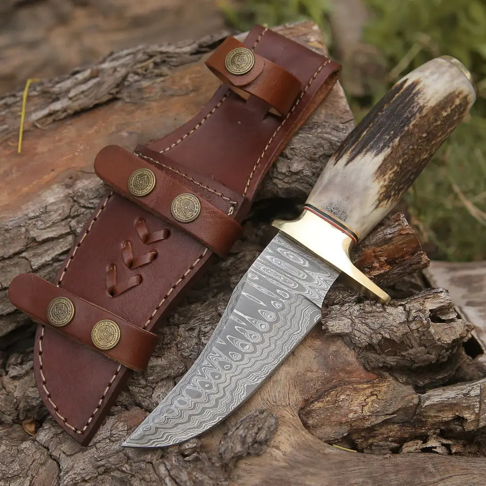 Custom HANDMADE FORGED DAMASCUS Steel Hunting Knife W/ Stag & Brass Guard Handle WH 4399