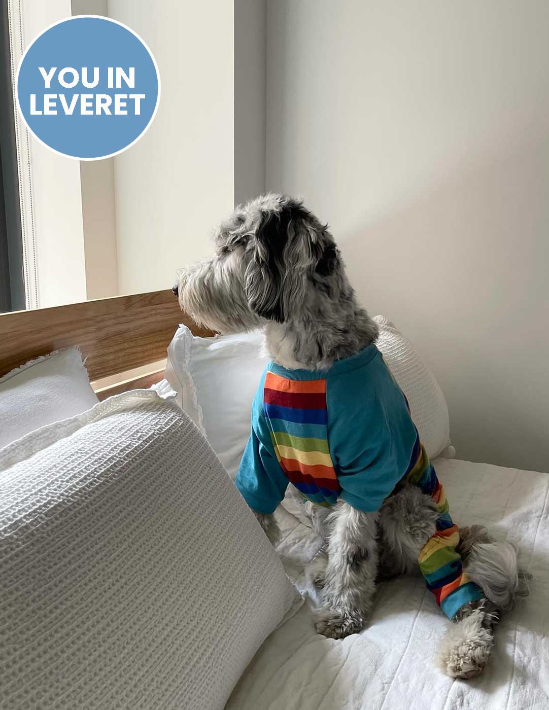 Dog Cotton Rainbow Boy Stripes Pajamas