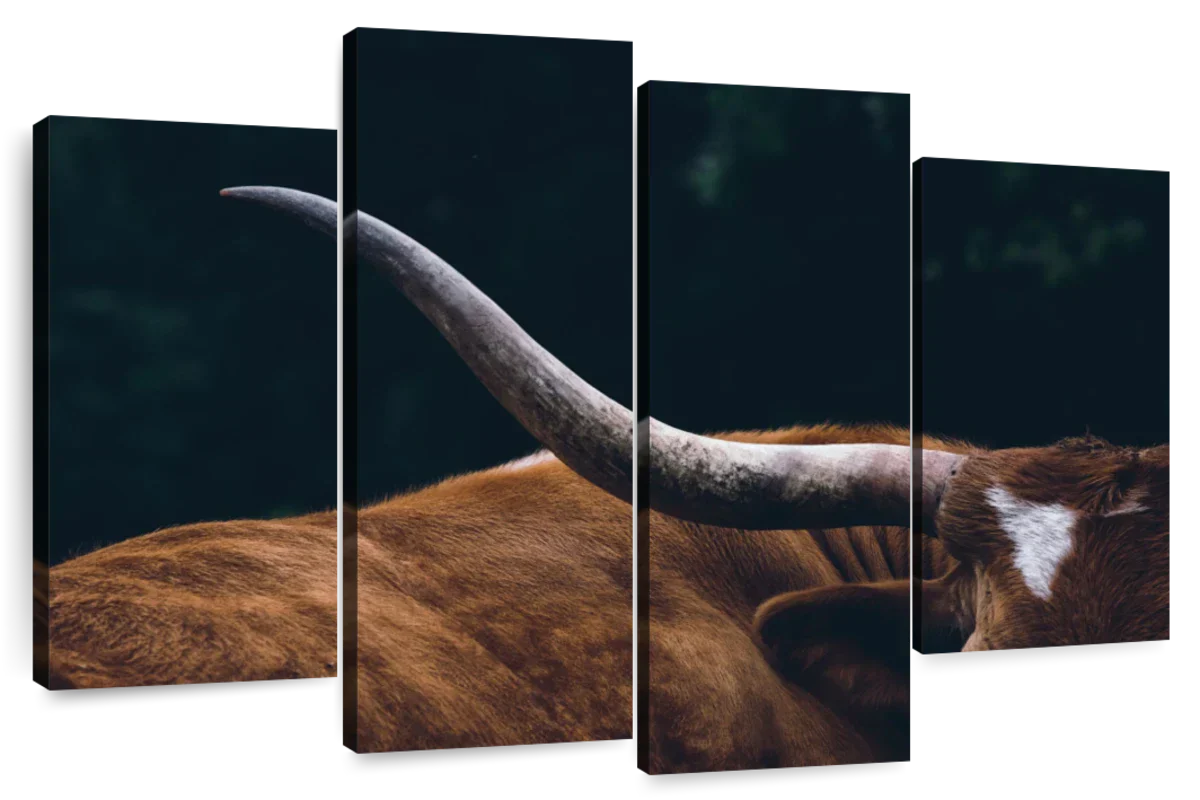 Cow Texas Longhorn Wall Art