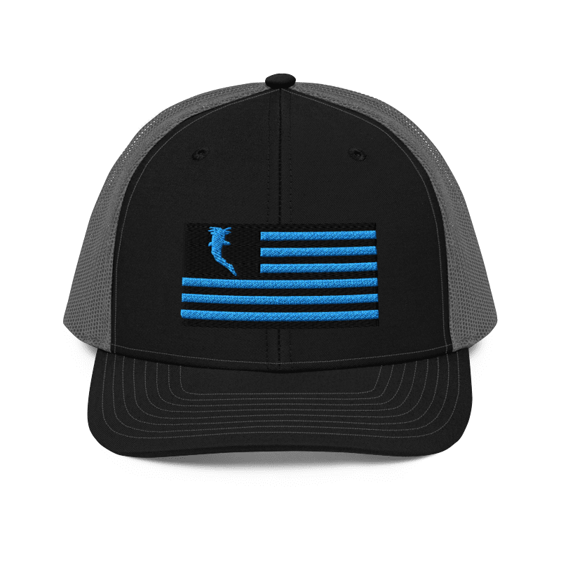 Flag Embroidered Car. Blue (Snapback)