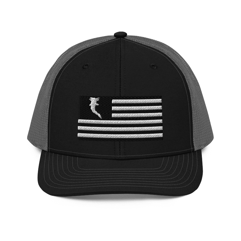 Flag Embroidered BnW (Snapback)