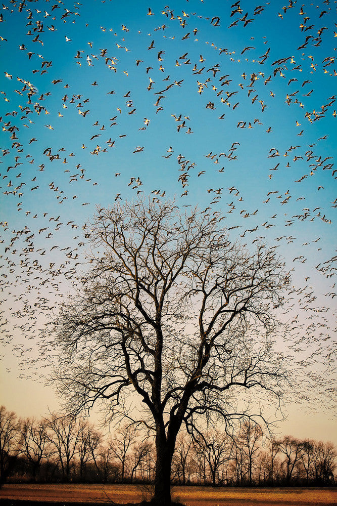 Capture Greater Lehigh Valley: The Best of the Lehigh Valley in Photography